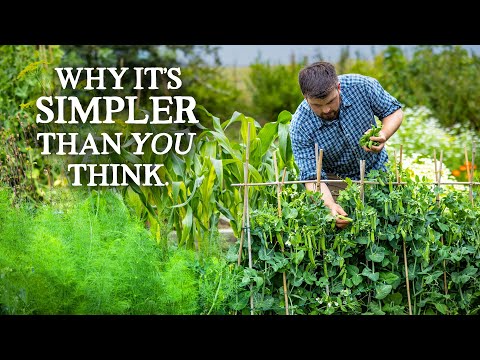 Growing AMAZING Food Affordably Starts with THIS