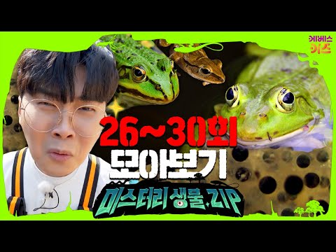 개구리알 구조대ㅣ상어 이빨 줍기ㅣ어흥! 백호랑이 밥 주기ㅣ미스터리생물집 26~30회 모아보기ㅣ꾹tvㅣKBS 방송