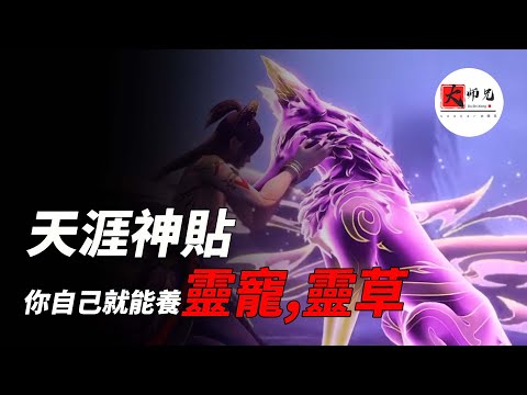 天涯十大神貼,教你自己養靈寵&靈草的秘密,擋險、避災、鎮煞、招財|seeker大师兄