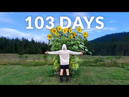 I Grew Giant Sunflowers and Filmed Them For 104 Days