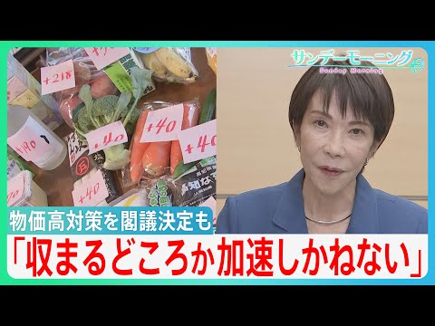 【総合経済対策を閣議決定】コロナ後最大21.3兆円も「物価高は収まるどころか加速しかねない」更なる円安&物価高の懸念…【サンデーモーニング】|TBS NEWS DIG