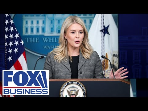 Leavitt touts Trump's pro-growth policies as cost of living declines