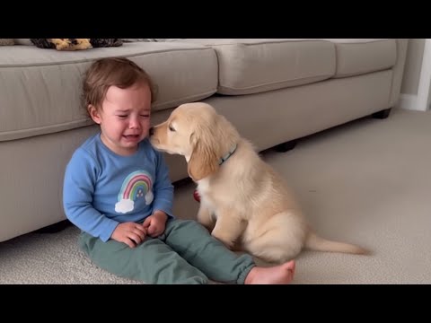 The Dog Kept Pushing The Toddler Down. When The Vet Saw Why, The Parents Cried