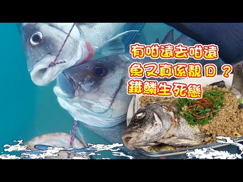 【漁人推介】香港水域 阿火帶大家出外島徒潛打魚,去越遠魚種越靚?自家製作鐵鱗生死戀?Catch and Cook Chinese style Steam Fish with salted fish