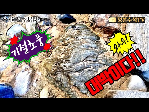 527.기절초풍 우와! 대박이다!! 이런 돌밭 처음이야!!!!!!!! #수석탐석 #수석