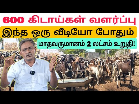 ஆடு வளர்ப்பில் மாதம் ₹2,00,000 வருமானம் #ஆடு #ஆடுவளர்ப்பு #கிடா #கிடாவளர்ப்பு #பக்ரீத்கிடா #sheep