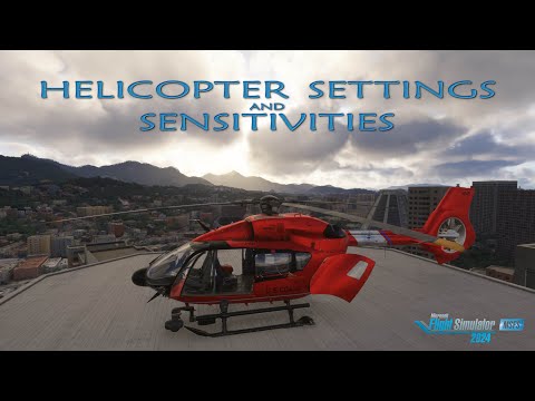 MSFS 2024 | Settings and Sensitivities