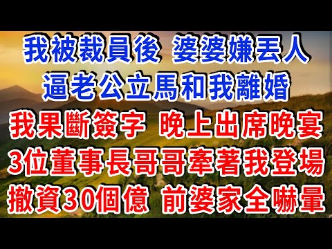 我被裁員後 婆婆嫌丟人,逼老公立馬和我離婚,我果斷簽字 晚上出席豪門晚宴,3位董事長哥哥牽著我登場,當場宣佈撤資30個億,前夫婆家全嚇暈!#雅婷講故事#為人處世#生活經驗#情感故事#晚年哲理#說故事