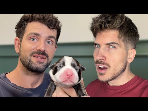 My Ex Boyfriend Showed Up to Adopt a Puppy...