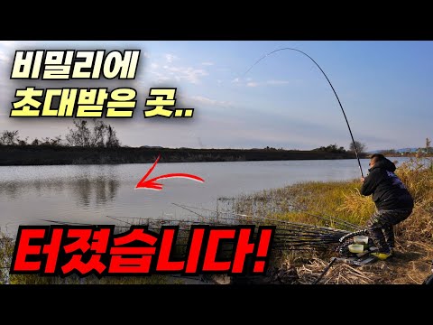 Focus on the early evening and morning market / and take a bag of xxx / Haenam Geumjacheon carp f...