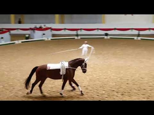 WM2025 Young Vaulters Noemi