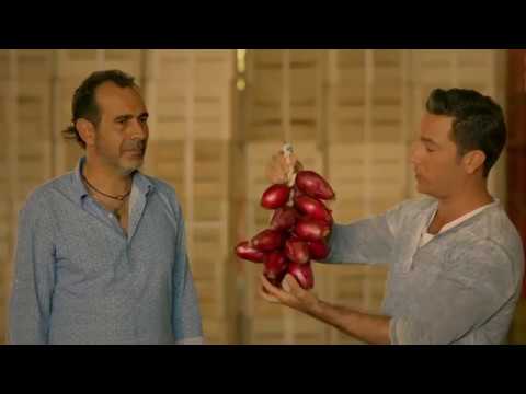 Ginos Italian Coastal Escape S05E07 Calabria