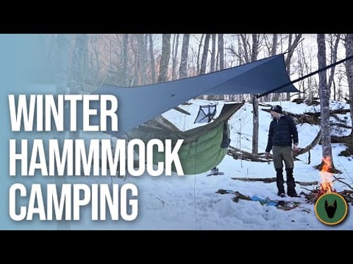 Hammock Camping With a Dog in Winter