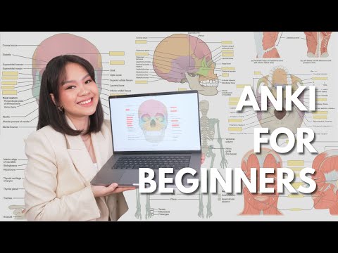 how to study effectively with anki ๐ง a comprehensive guide for beginners