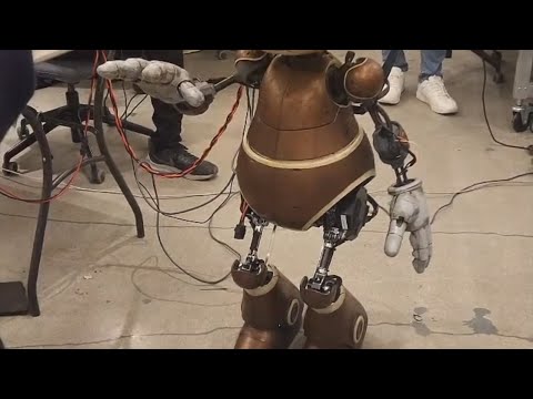 Retrospective: 20 Years of Humanoids (Humanoid Robots Developed at RoMeLa, 2004 to 2024)