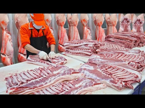 350 Pigs a day! Amazing Pork Mass Processing Factory in Taiwan/一天350頭豬! 驚人的台灣豬肉大量切割工廠 - Food Factory