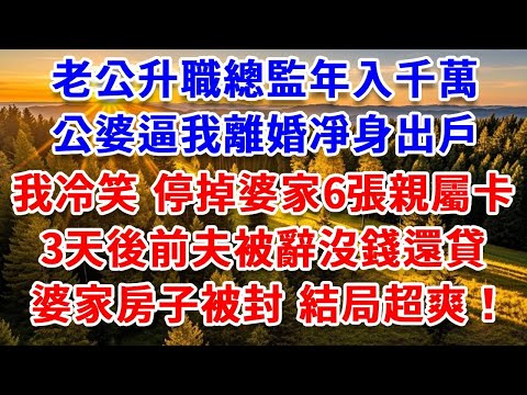 老公升職總監年入千萬,公婆逼我離婚凈身出戶,我冷笑 停掉婆家6張親屬卡,3天後前夫被辭沒錢還貸,婆家房子被封 結局超爽!#思妤說故事#為人處世#生活經驗#情感故事#晚年哲理#說故事#完結文#原創故事