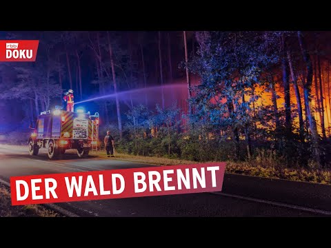 Forest in flames - Firefighters on continuous duty | The rbb Reporters | Documentary & Report