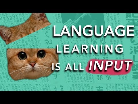 How to Learn a Language: INPUT (Why most methods don't work)