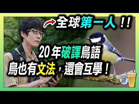 研究 20 年,他聽懂了鳥語!/ 鳥也有文法錯誤?順序一改就聽不懂!/ 鳥類也能互相學語言!? | 青茶說