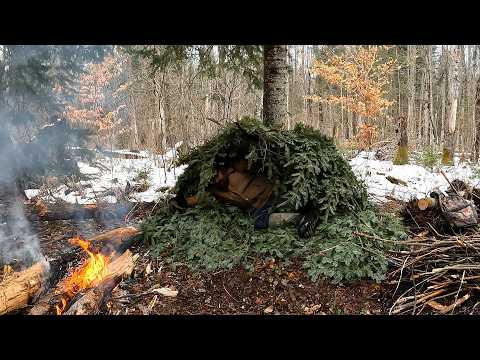 LOST - How to Actually SURVIVE Your First Night LOST in the Forest