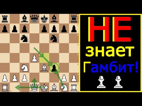 Гамбит Блэкмара-Димера: НАКАЗАНИЕ за незнание Дебюта!🚀