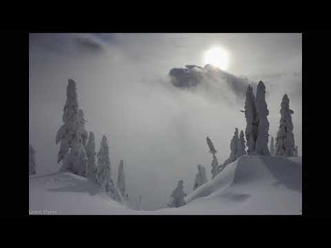 50 Words for Snow by Kate Bush