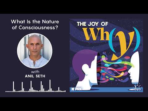 What Is the Nature of Consciousness? | PODCAST: The Joy of Why
