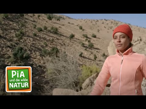 Die Geister vom Atlasgebirge | Reportage für Kinder | Pia und die wilde Natur