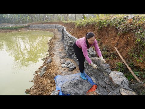 Dung new project with the neighbor's pond - Decided to build a stone wall 130m around the pond Ep2