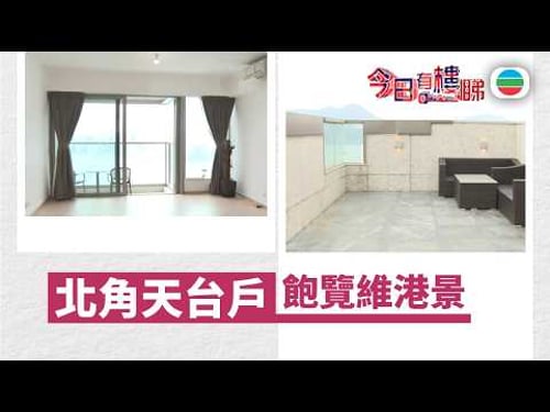 TVB今日有樓睇|2026年02月24日|北角天台戶 飽覽維港海景|樓市|樓盤