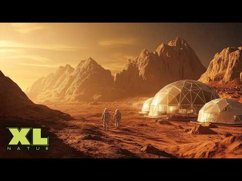 Der achte Kontinent: Die gefährliche Besiedlung von Mond und Mars | XL Naturdoku