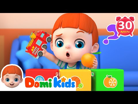 物品分類大挑戰🧩🧸🍎🚗🎨 + 更多兒歌🎵|人氣兒歌🔥|連續播放📀|TOP兒歌🎶|寶貝多米