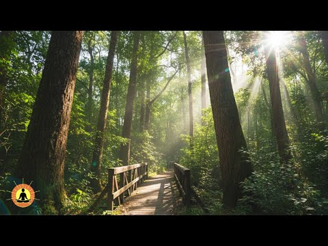 8 Hours of Deep Sleep Music (No Interrupting Ads)