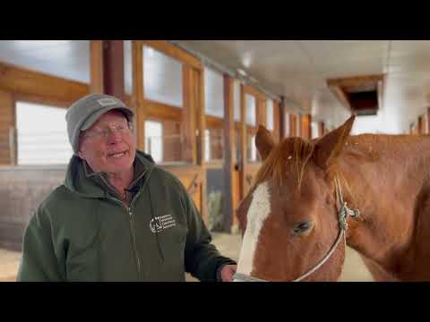 Dr Judd talks about what he and staff have done to diagnose and treat Cherry's tooth infection.