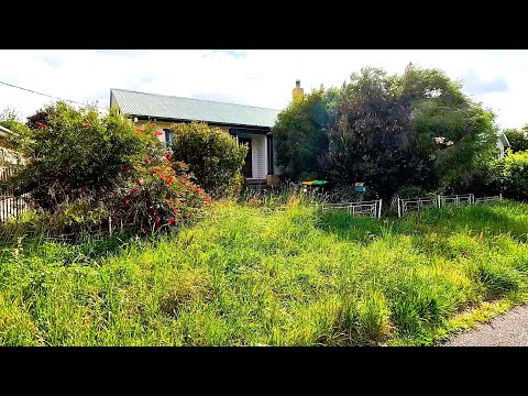 This brings a new meaning to Garden JUNGLE Restoration!