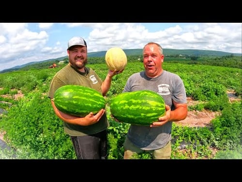 Adding something NEW to harvest