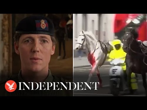 British army provides update after Household Cavalry horses rampage through London
