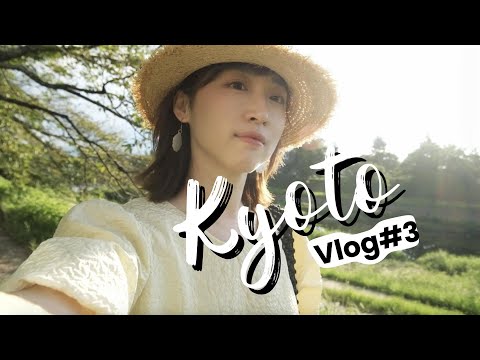 京都vlog|百年早餐店&复古咖啡店分享|下鸭神社超美御守|鸭川散步|夜行京都 | SmartCoffee | WifeandHusband |日本旅行|京都美食|京都咖啡店