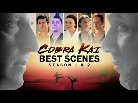 Cobra Kai's Best Scenes - Seasons 1 & 2