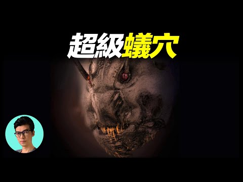 巴西亞馬遜超級蟻穴,地下9米,100萬隻螞蟻的家,縱橫交錯猶如人類城市「曉涵哥來了」