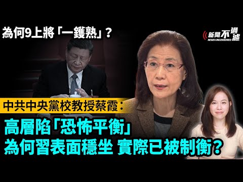 中共中央黨校教授蔡霞:高層陷「恐怖平衡」。為何習近平表面穩坐,實際已失主導權?史無前例!為何四中全會前九上將「一鑊熟」? | 【#新聞不過濾】黃瑞秋 10.24