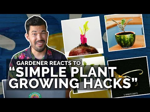 Gardener Reacts to "Simple Plant Growing Hacks"