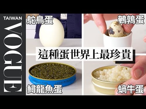 12 Types of Eggs, Examined and Cooked |Vogue Taiwan