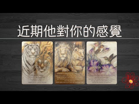 【純干貨】近期他對你的感覺變過嗎?對你更上頭還是下頭了?他是認真的嗎 |曖昧|愛情|戀愛|桃花|塔羅占卜|