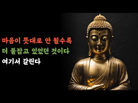 왜 마음은 뜻대로 움직이지 않을까? 흔들리는 감정을 다스리는 불교 심리ㅣ 감정조절 ㅣ 마음다스림 ㅣ 불교심리 ㅣ 생각멈추기 ㅣ 명상 ㅣ