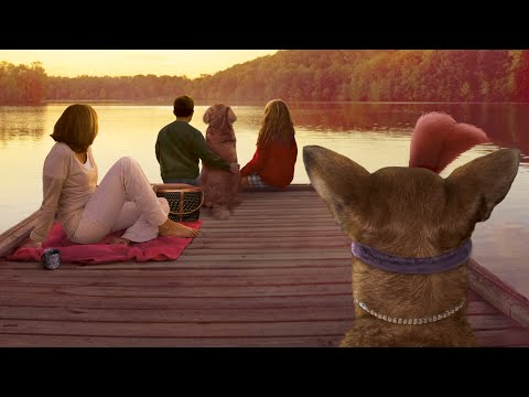 đŹ Un hogar lleno de recuerdos y cariĂąo ⢠Chihuahua El Fantasma â˘PelĂcula completa â˘CineBox PelĂculas