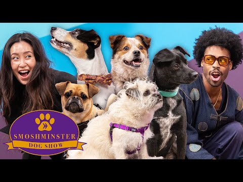 Who Has The Best Dog?