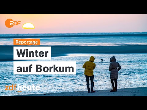 Nordsee pur: Wenn das echte Leben nach Borkum zurückkehrt | ZDF.reportage