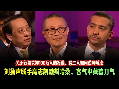刘扬声联手高志凯激辩哈桑,客气中藏着刀气,关于新疆关押100万人的报道,看二人如何逆风辩论
